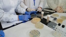 VIDEO PROXECTO APS 4º ESO-FACULTADE FARMACIA INVESTIGACIÓN NO SWI
