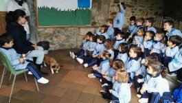 VISITA DAS MASCOTAS