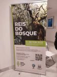 REIS DO BOSQUE