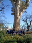 4ºB ESO ANDAINA POLA ALAMEDA MESTURANDO A BIOLOXÍA E A EDUCACIÓN FÍSICA