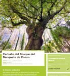 VOTA POLO CARBALLO DE CONXO COMO ÁRBORE EUROPEA DO 2022