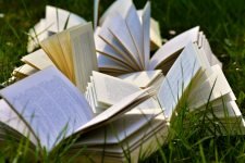 II CERTAME LITERARIO DE MICRORRELATOS