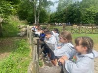 EXCURSIÓN 3ºPRIMARIA