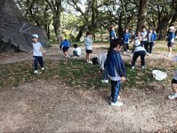 CHEGOU O OUTONO A 1º EP